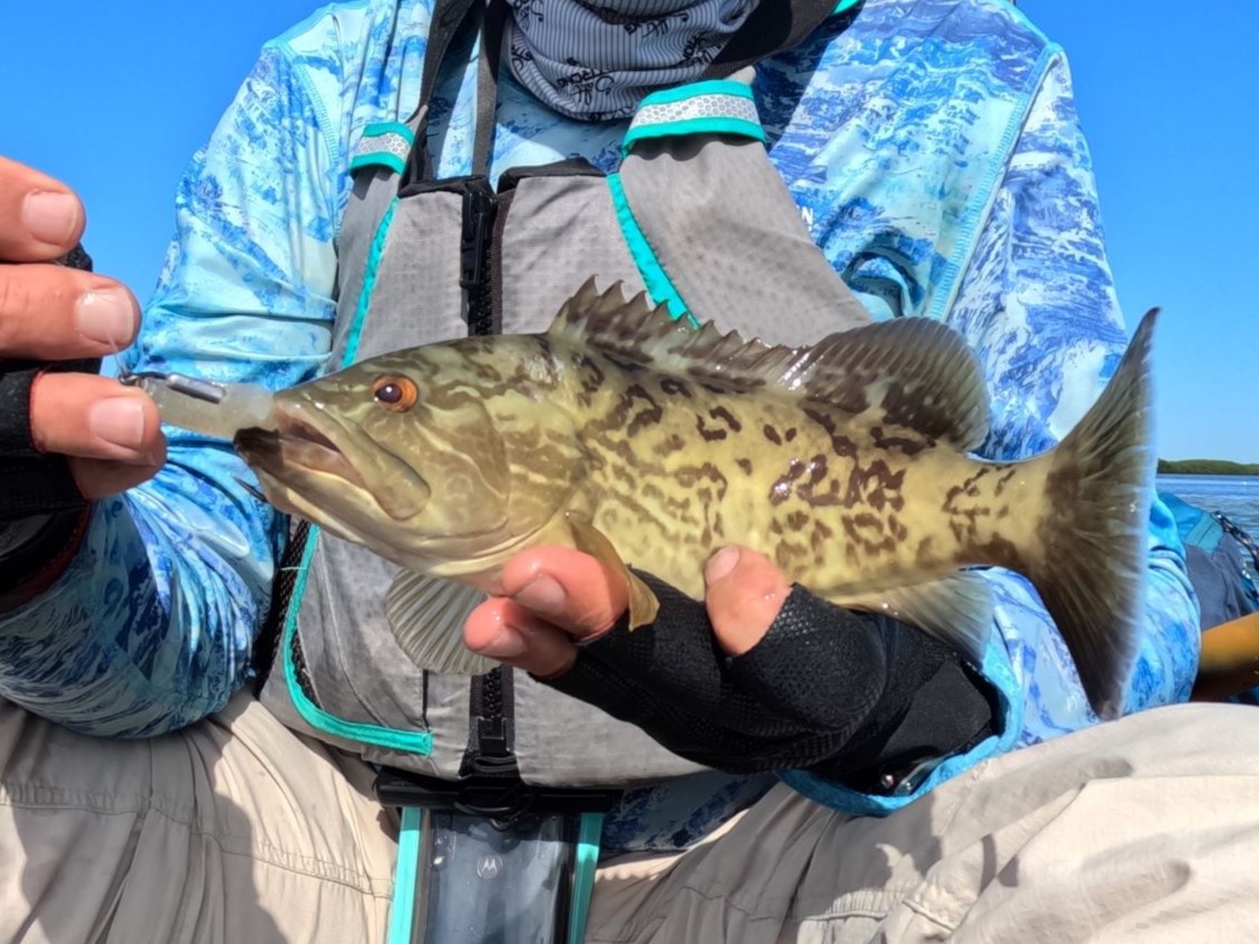 Florida Coastline Fishing Trip with a Kayak Round 2